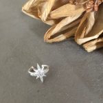 KUZEY YILDIZLI EKLEM KÜPE