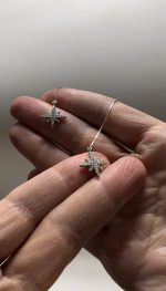 KUYRUKLU KUZEY YILDIZ KÜPE - Görsel 2